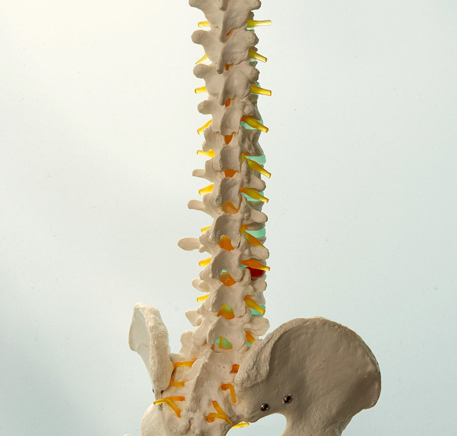 Osteopathie für Rücken- und Gelenkschmerzen